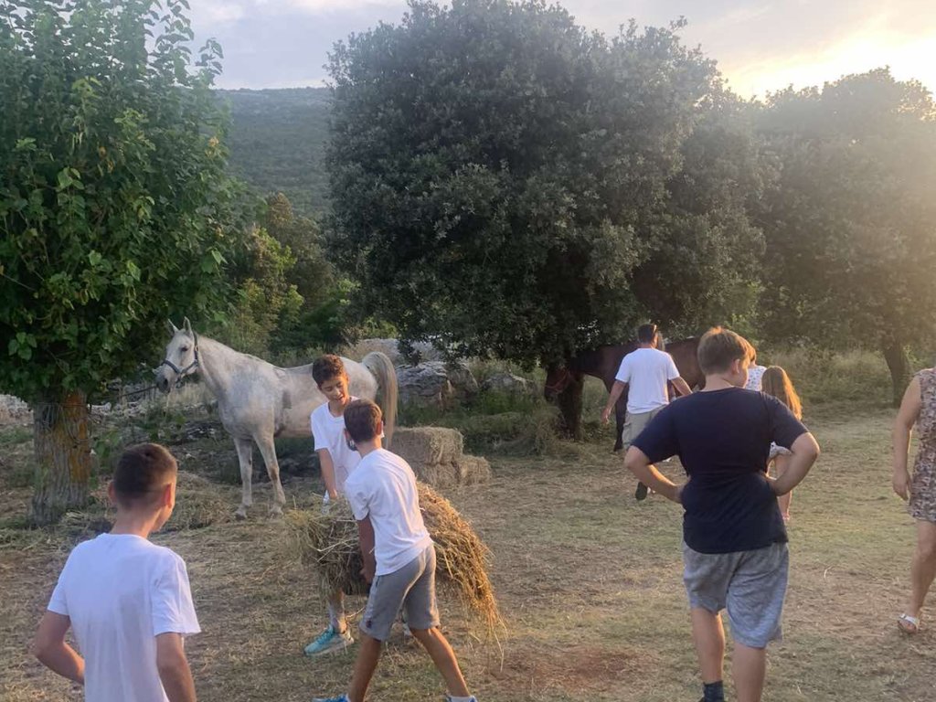  Trodnevni program terapijskog jahanja na Pelješcu